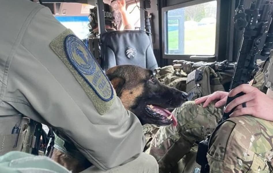 GwinnettPd's tweet photo. Remembering K9 Blue https://t.co/8zw0owL3eU