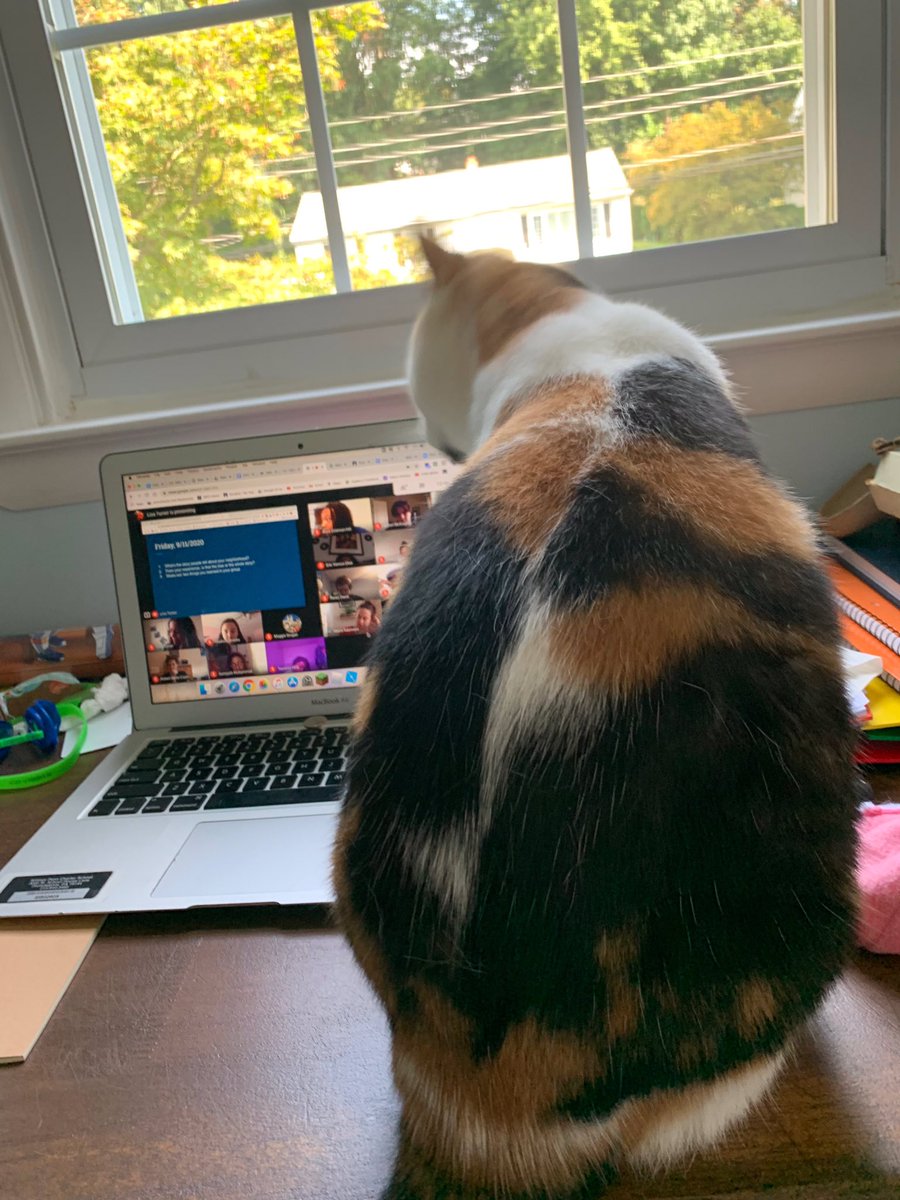 PennCharter's tweet photo. New ninth grader, @UpperSchoolPC ? #pcdistancelearning #petsofpenncharter https://t.co/gKTgr0RU0I