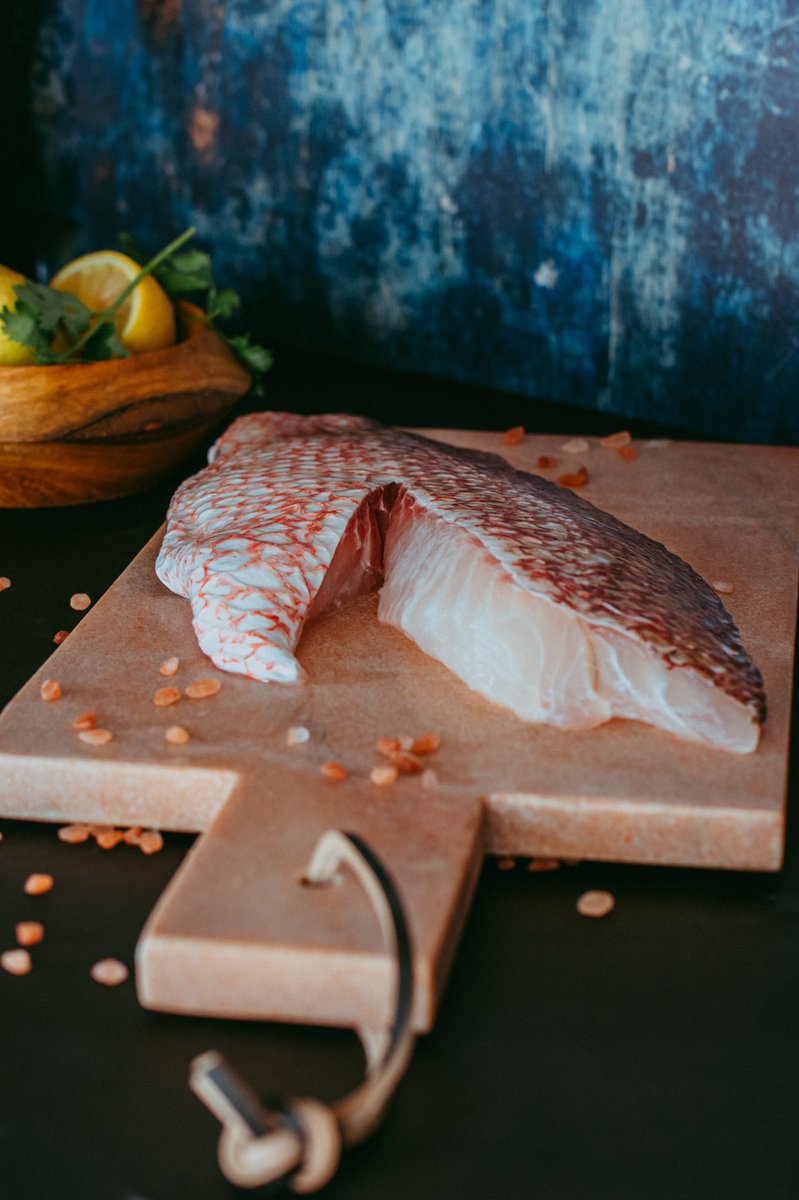 waltsfishmarket's tweet photo. Fresh Fish!!! #waltsfishmarket #sarasota #siestakey #seafood #seafoodlover #seafoodlovers #yummy #yummyfood #foodie #freshfood #freshseafood #eatlocal #eatlocalfl #seafoodmarket #fishmarket #freshseafoodmarket #fish #shrimp #greatfood https://t.co/zGfSsjG70B