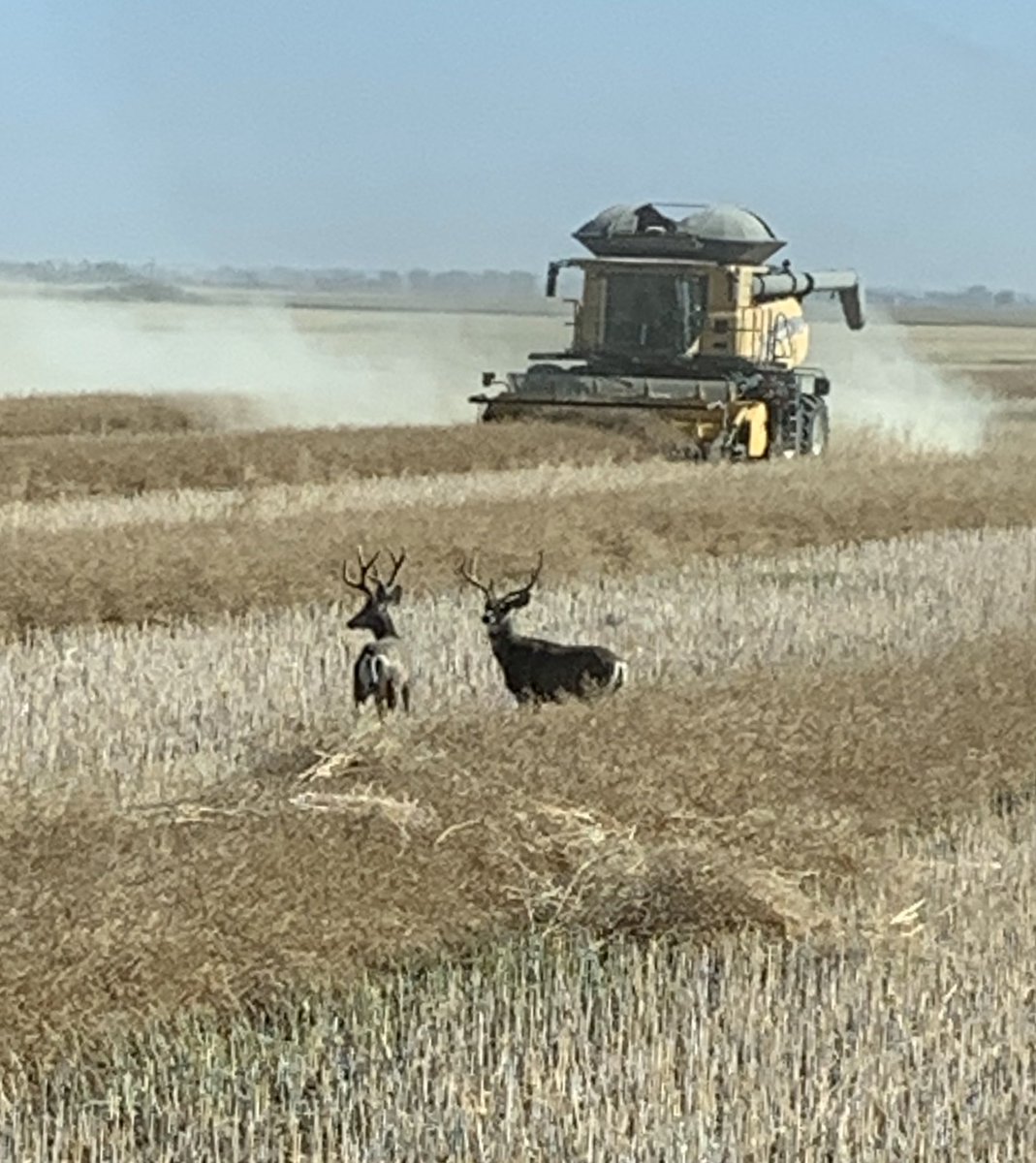 Gerry Farms tweet media