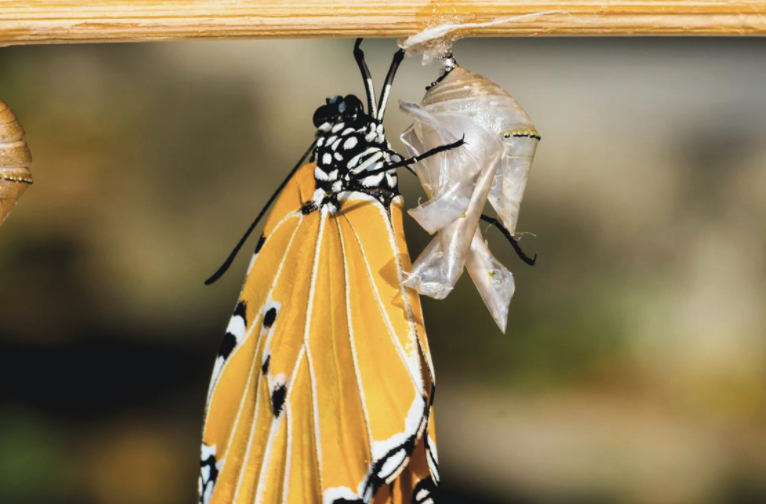 PollinateNet's tweet photo. How does an organization shift from a culture of being to doing? @McKinsey share four practical lessons on achieving #organizationalagility.

Read on ➡️ https://t.co/AT1kpMdhZ5

#AgileCulture #DigitalTransformation #FutureofWork #AgileLeadership #OrgEffectiveness https://t.co/DE5ZnvmjXS