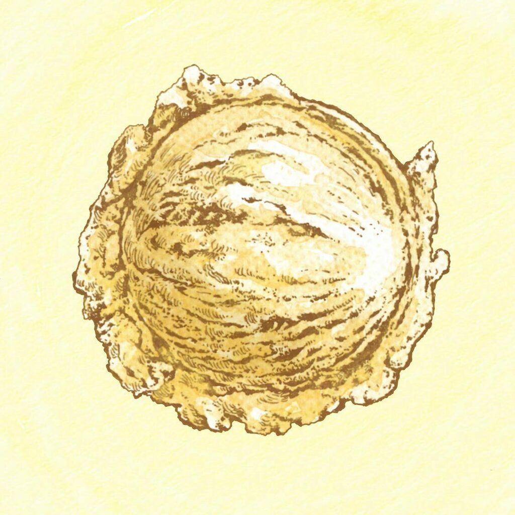 LouisVinet's tweet photo. Coffee Tasting Notes:
Ethiopia, Tega &amp; Tula.
Manifesto Coffee
(Part 1)
Vanilla Ice Cream.
_______________________________________
#art #illustration #coffee #vanilla #icecream #foodillustration #foodart #specialtycoffee #tasting #tastingnotes #packagedesign #productdesign #w… https://t.co/tA7eEVswy3