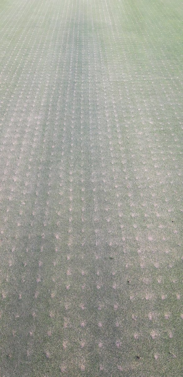 Stumorpethgre's tweet photo. Well that was a hell of a week, TF its over! 19mm tines like king kongs finger. holes back filled with 40T sand brushed in. Greens pencil tined, then rolled and brushed again. A few volunteers on the monday to help collect, however with 3 staff it's been a hell of achievement https://t.co/Bu2HYUwIrE