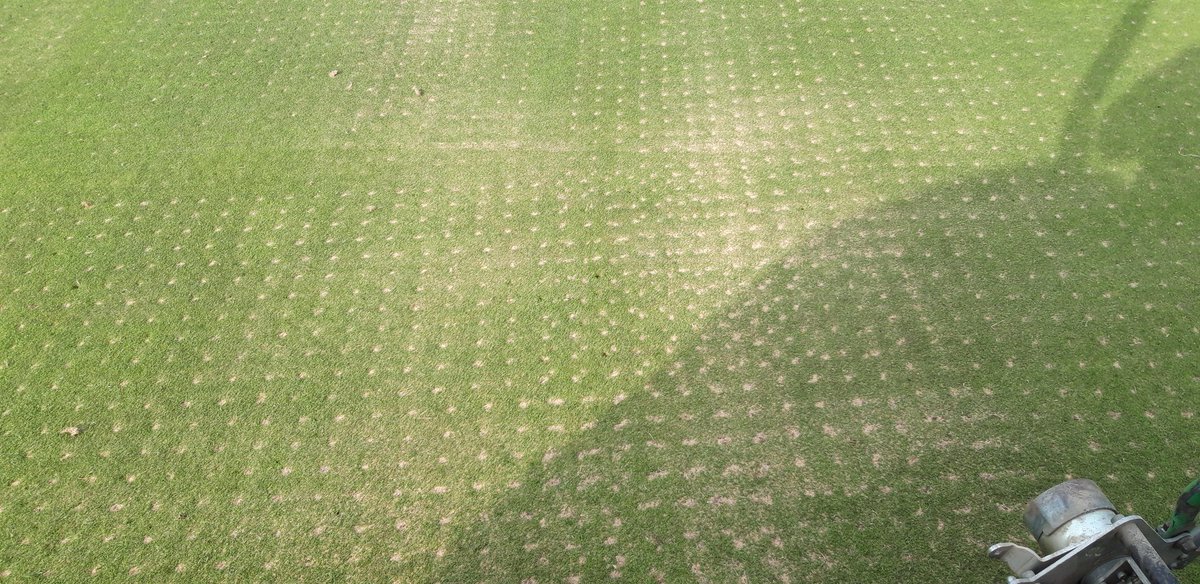 Stumorpethgre's tweet photo. Well that was a hell of a week, TF its over! 19mm tines like king kongs finger. holes back filled with 40T sand brushed in. Greens pencil tined, then rolled and brushed again. A few volunteers on the monday to help collect, however with 3 staff it's been a hell of achievement https://t.co/Bu2HYUwIrE