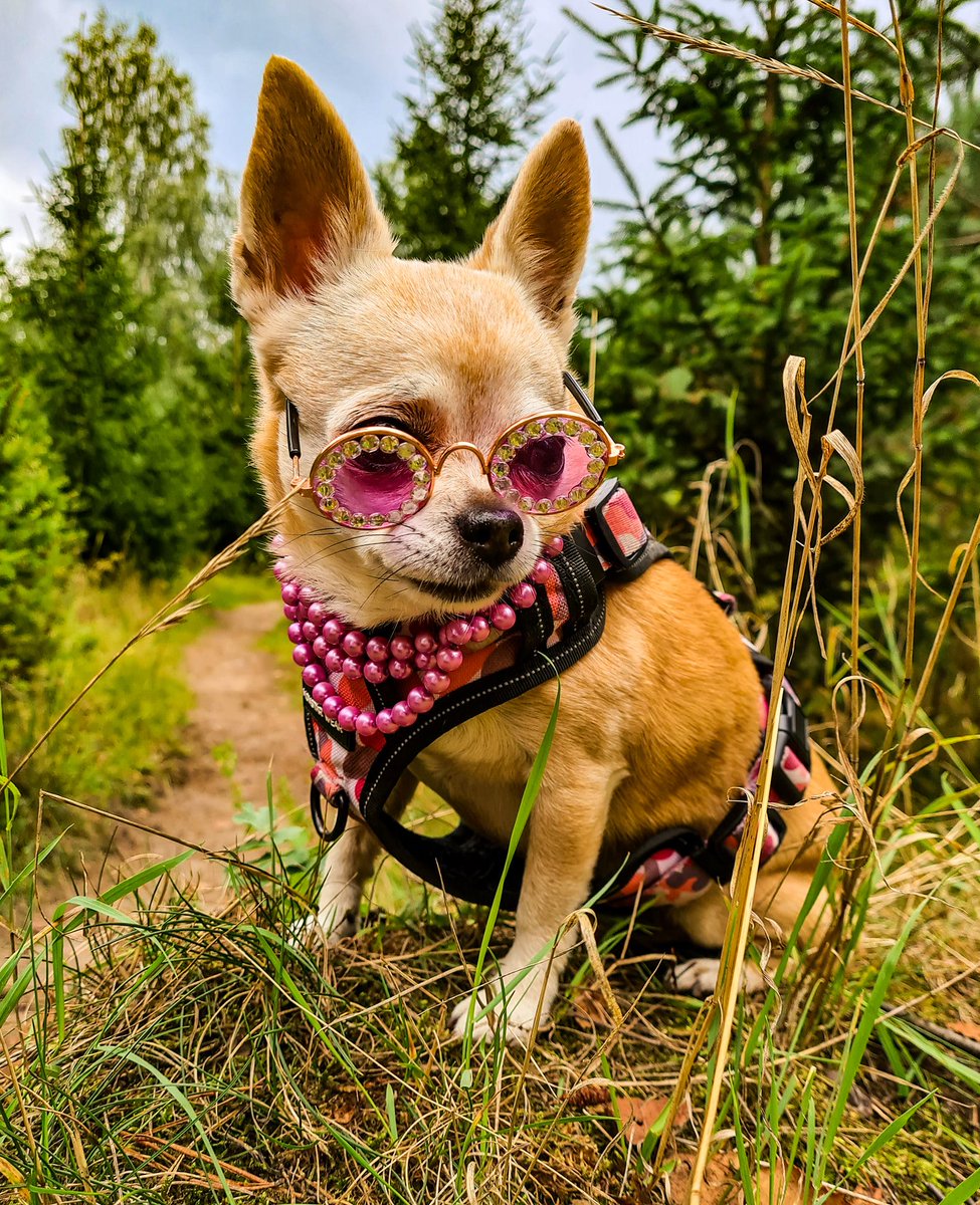 Olivia Glennon tweet media