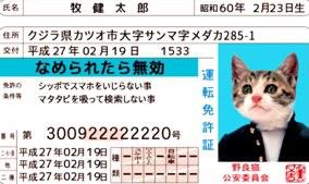 wakuwakujapones's tweet photo. El día del 🐱 en #Wakuwakujapones 

Carnets de conducir de🐈! De verdad ???Claro q Si!

En los años 1980-90 eran muy populares en todo Japón!

 Se llamaban なめ猫 (nameneko) y son muy graciosos aún hoy !

#gato #Japones #Zaragoza https://t.co/070MAAZShh