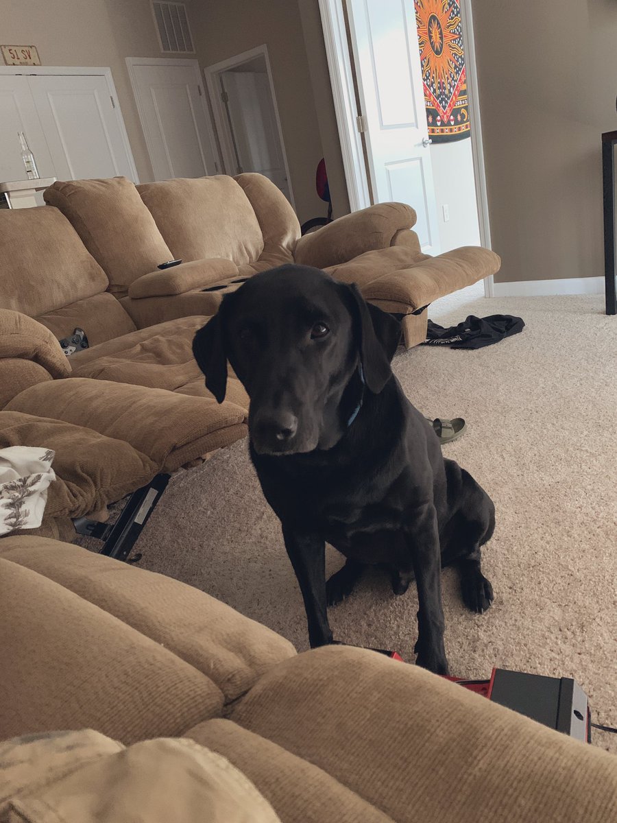 Ben Stone tweet media