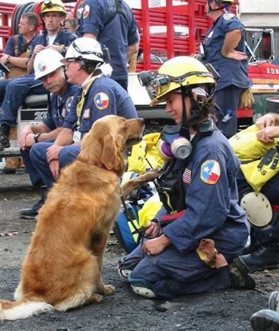 BRETAGNE (Britney) Bretagne was just two years old at the time of the 9/11 attacks. She and Denise Corliss, her owner and handler, worked at Ground Zero for 10 days as their mission went from rescue to recovery.