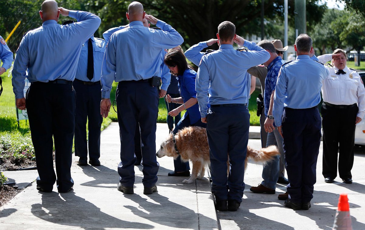 Bretagne remained the only living 9/11 search and rescue dog until June 6, 2016, when she was laid to rest just shy of 17 years old.