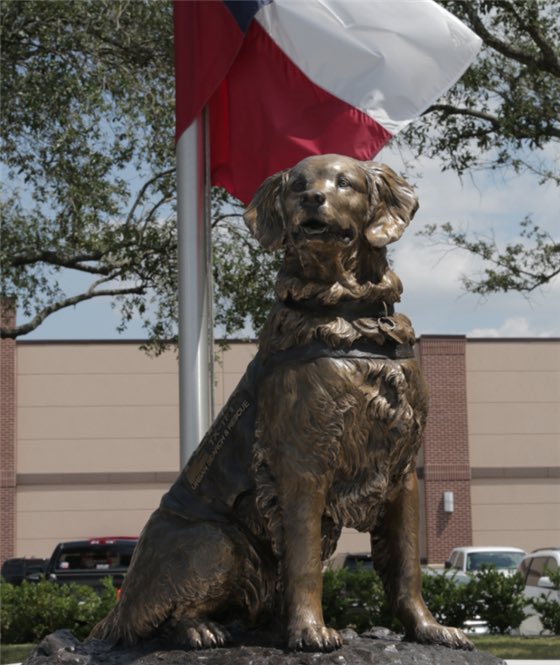 As Bretagne entered the animal hospital in Cypress, Texas, firefighters and search and rescue workers from the fire department lined the sidewalk and saluted. She was carried out later, her body draped in an American flag. A statue erected in her honor.