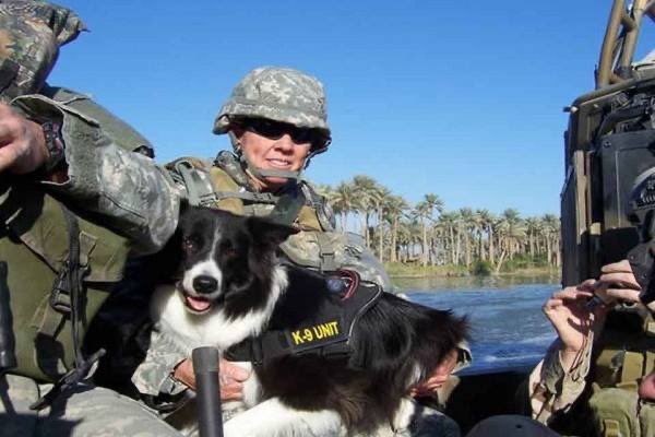 SAGESage became a FEMA search and rescue dog at only 18-months old. Her very first real mission was to search through the Pentagon after the 9/11 attacks. Amid the rubble, Sage sniffed out the body of the terrorist who had flown American Flight 77 into the building.