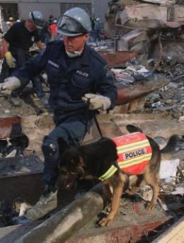 TRAKRGenelle Guzman-McMillan was making her way down the stairs in the South Tower when the building collapsed around her. After being trapped for 27 hours beneath the concrete and rubble, Trakr alerted firefighters to her whereabouts. She was the last survivor found.