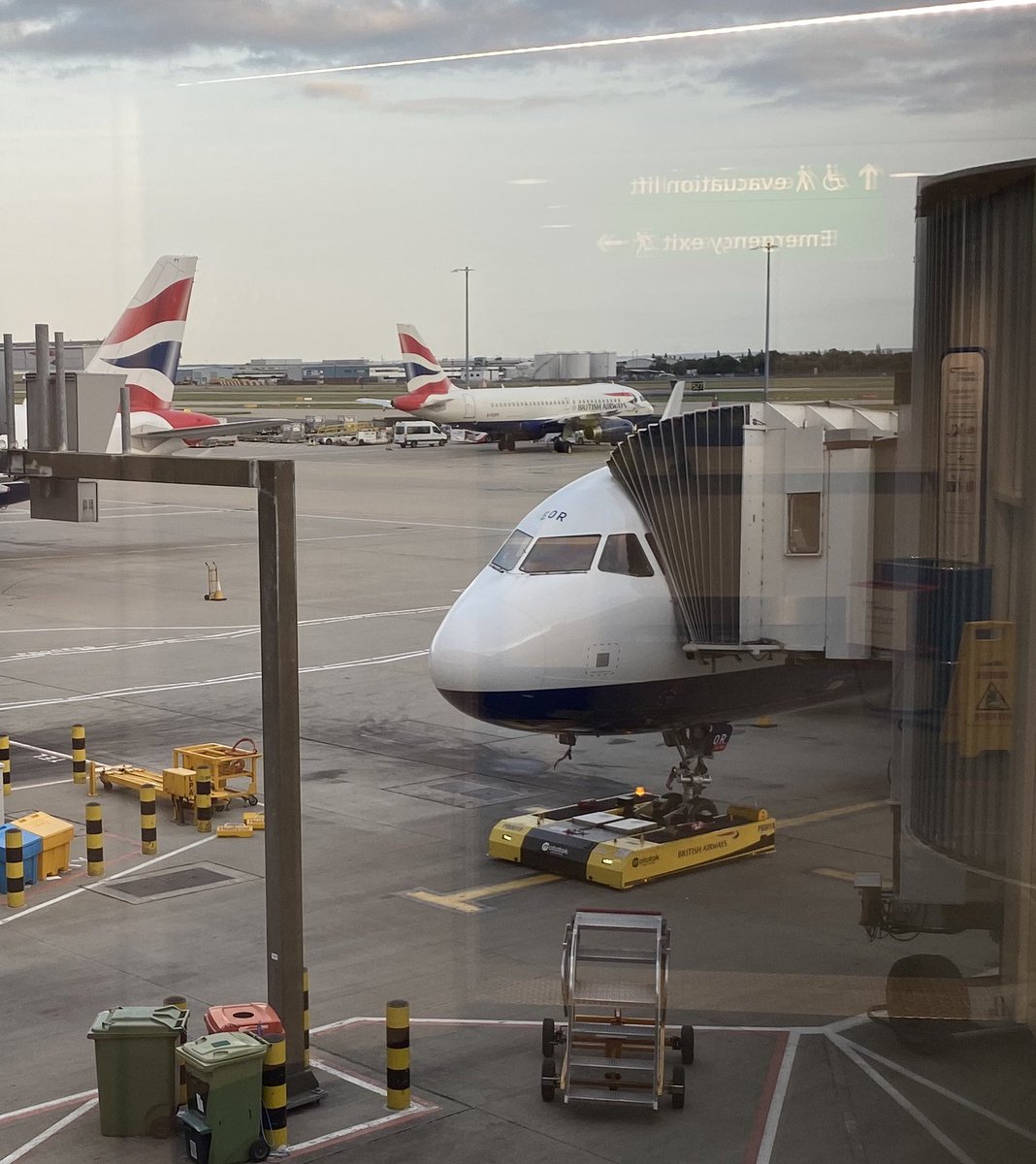 alexisk79's tweet photo. Friday night tug. Thank you @TheRobotug you made me feel special. Off to #EDI from #LHR on #BA1458 #britishairways #A321neo https://t.co/XrK88MKDKD