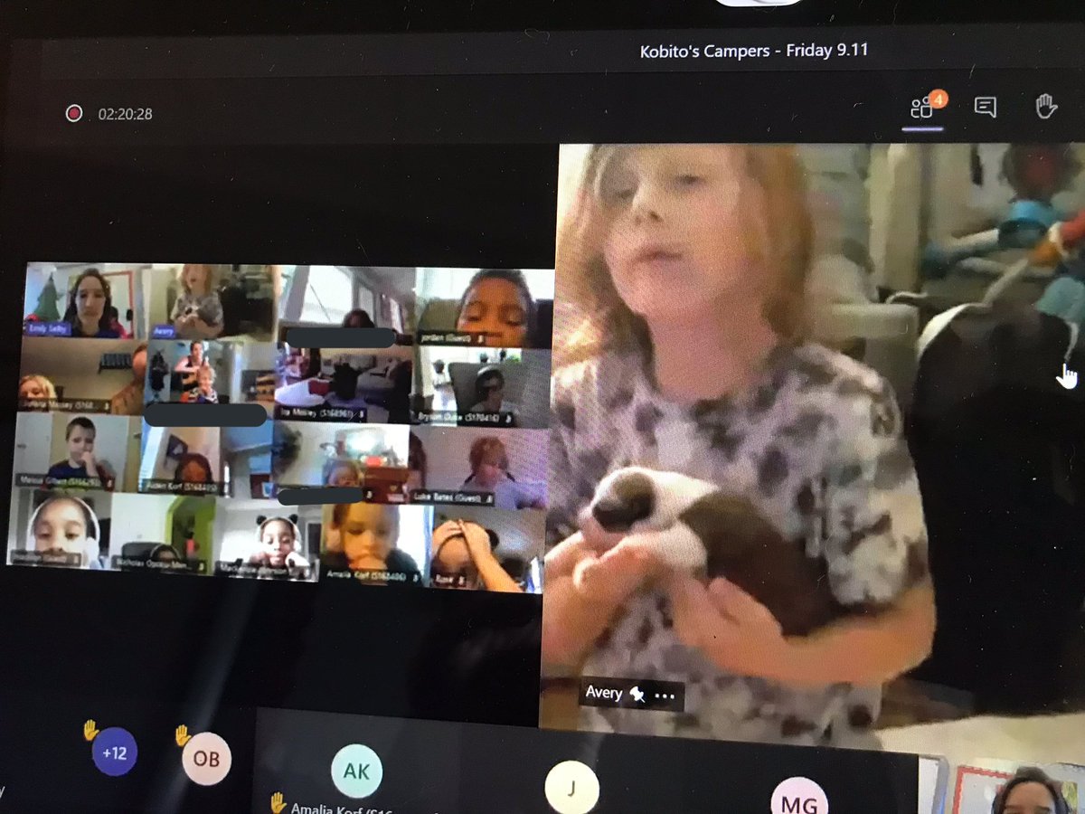 mrs_emilykobito's tweet photo. Nothing like a pool full of PUPPIES to end a great week! Thanks to Avery & family for sharing this LIVE lesson on animal life cycles! Canβt wait to watch these pups grow as a class! @ClarkCreekSTEM #ccsd #digitalperks #kobitoshappycampers https://t.co/gzv7eUXcbG
