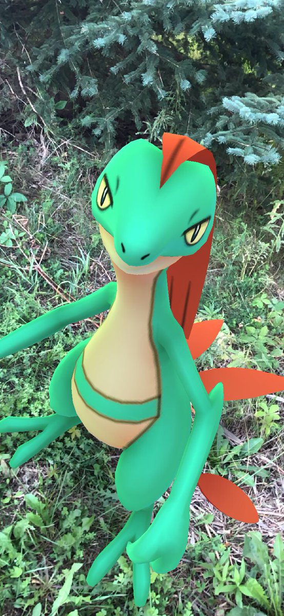 IWDL_Writer's tweet image. My shiny #grovyl in the forest. #pokemongo #pokemongophoto #pokemon #pokemongosnap