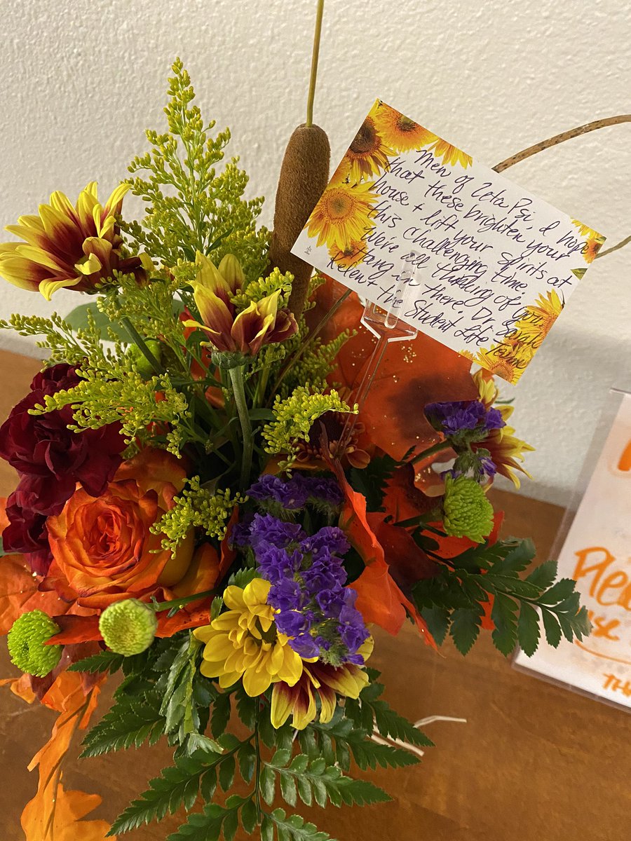 ZYOmicron's tweet photo. Huge thanks to the Student Life Team for sending us flowers while our house is under quarantine! https://t.co/O5N2PPhHTw