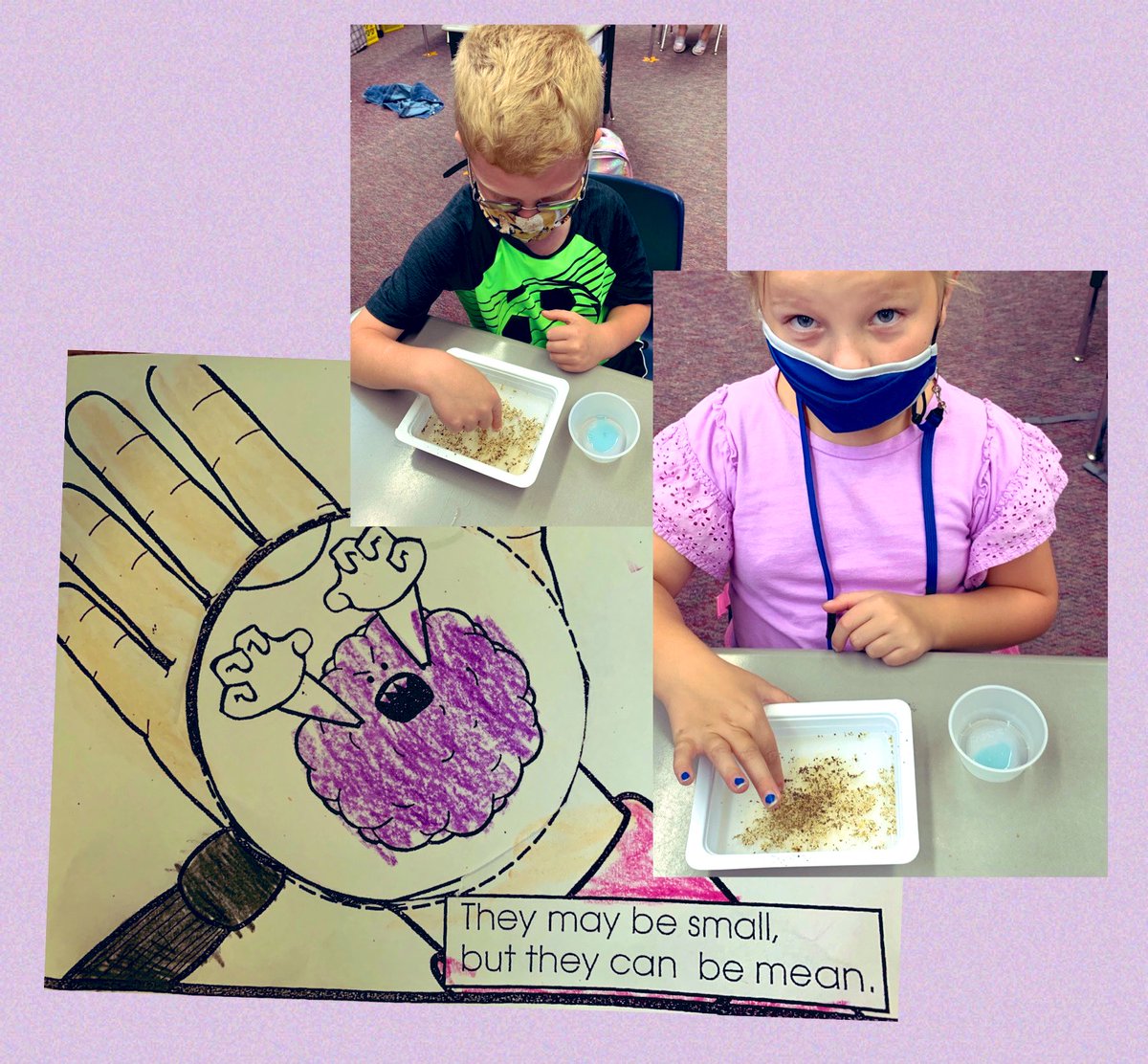 SS_Gr2's tweet photo. Second Grade Scientists proving soap is a mighty Germ Buster. #washyourhands #SecondGradeRocks https://t.co/rQI33J4JAw