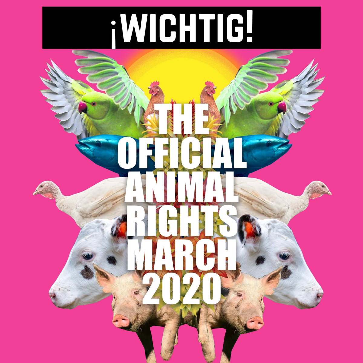MarchKoeln's tweet image. Start und Endpunkt ist nun die Deutzer Werft.Seid ihr dabei?#toarmkoeln #tierrechte #tierindustrieabschaffen #kölnvegan #cancelanimalag  #vegangermany #veganwerdenwaslosdigga
@ksta_koeln @WDR @express24 @tazgezwitscher @aktuelle_stunde @ZDF @faznet @RheinZeitung @rponline @peta