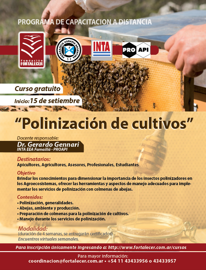 INTAProapi's tweet photo. #cursoonline: Los invistamos a participar del Curso de Polinización de cultivos que dictará el próximo 15 de septiembre el Dr. #GerardoGennari de #intafamaillá @inta.argentina #redlacaf #FundacionFortalecer @fedeagraria https://t.co/3br1nYABiQ
