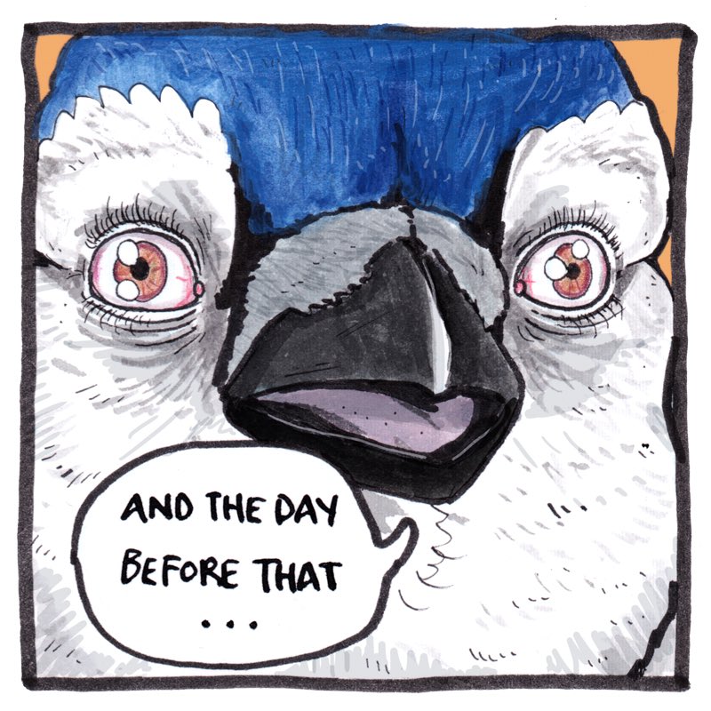 FalseKnees's tweet image. 