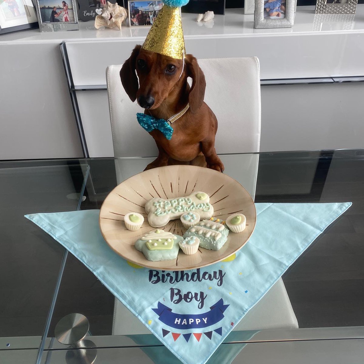A. Rizzo Foundation on X: Woof Woof! A Big Happy Birthday to our