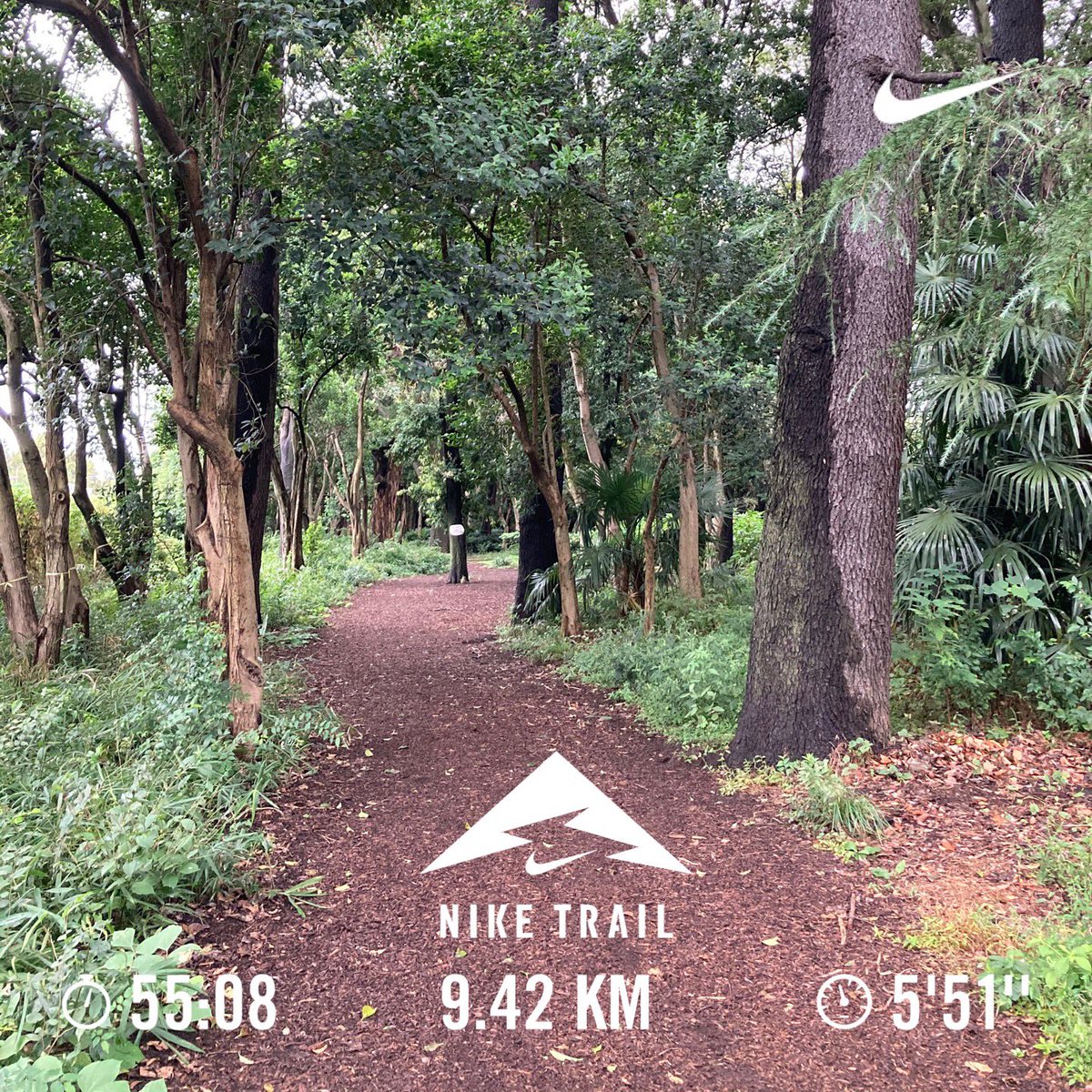 Bigwaves_2006's tweet photo. Saturday morning run #kinutapark 雨が降ってくる前に砧公園まで朝ラン。だいぶ涼しくなってきました。#トレイルランニング #多摩川ラン #ランニング #朝ラン #trailrunning #running #mourningrun #nikerunning #tamagawa https://t.co/7BDFFeZGuh