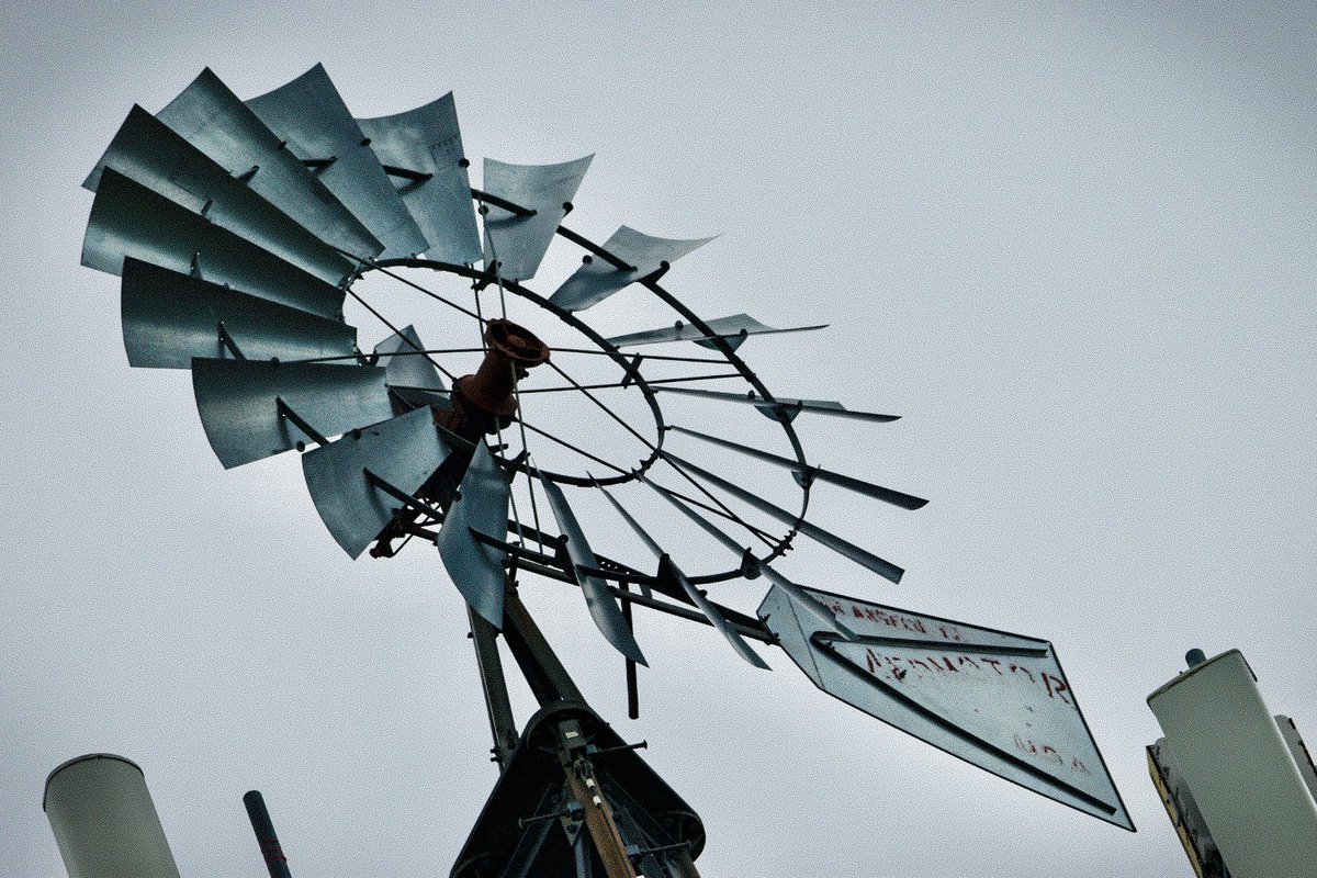 Today’s editions.Woody gets a little takeout.Hummingbirds find my new feeder.An old windmill on a gray morning.