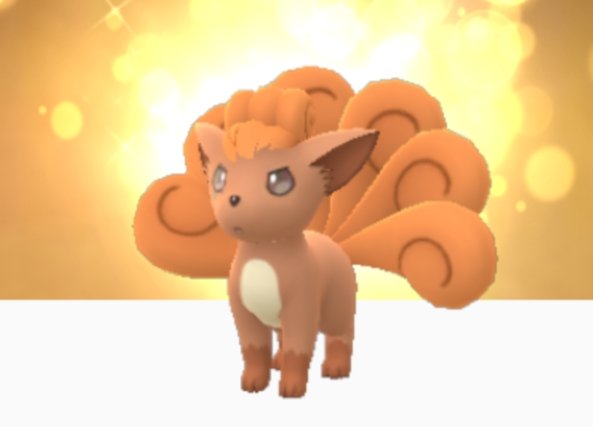 ねこのるる Sur Twitter ポケモン回文24 ロコンとキュウコンは大好きな人が多いよね ロコンの回文は難しいです ダメ油断 ロコン転んだ 夢だ だめゆだんろこんころんだゆめだ 作 ねこのるる ポケモン回文 ロコン ロコンかわいい ロコン