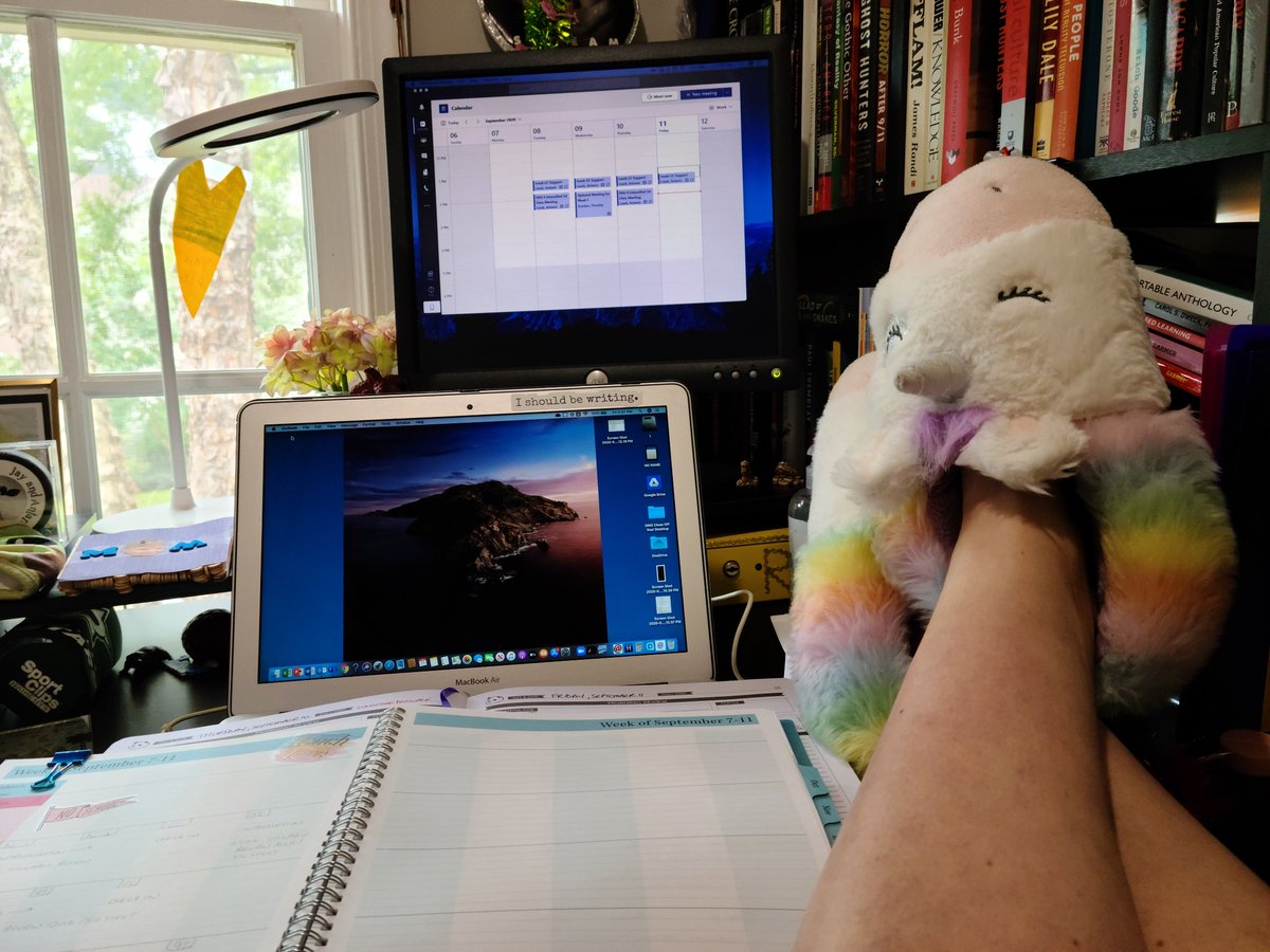 Antares Leask, Ph.D. tweet media