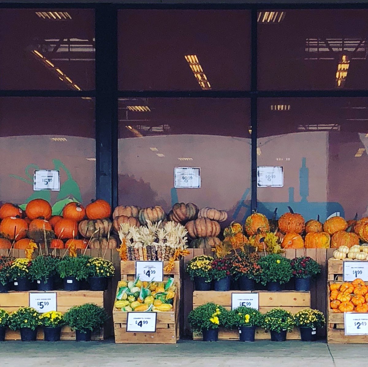 That’s how you do it #welcome #TeamSprouts