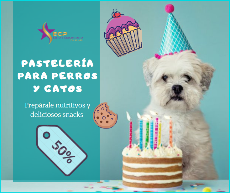 PersonalExito's tweet photo. ¡Aprovecha los últimos CUPOS DISPONIBLES!🔥EL PROGRAMA MÁS COMPLETO PARA ELABORAR RECETAS DE PASTELERÍA CANINA Y FELINA!
Aprende a crear galletas, muffins, tortas de cumpleaños y helados para tu mascota.
Accede aquí: 👇
https://t.co/KgztRA8vIn https://t.co/eWk20I04DD