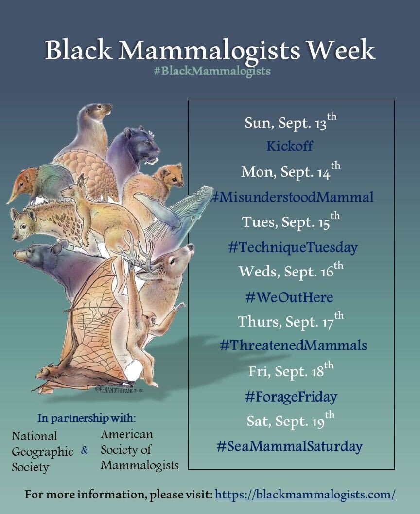BlkMammalogists's tweet photo. #BlackMammalogists Week starts on Sunday!! We are beyond excited! Check out the schedule below and share widely. Stay tuned for giveaways, coloring pages, social media takeovers and more. In partnership with @Mammalogists and @InsideNatGeo. Panels to be live streamed by @smrtgrls https://t.co/dTEf1AHGxv