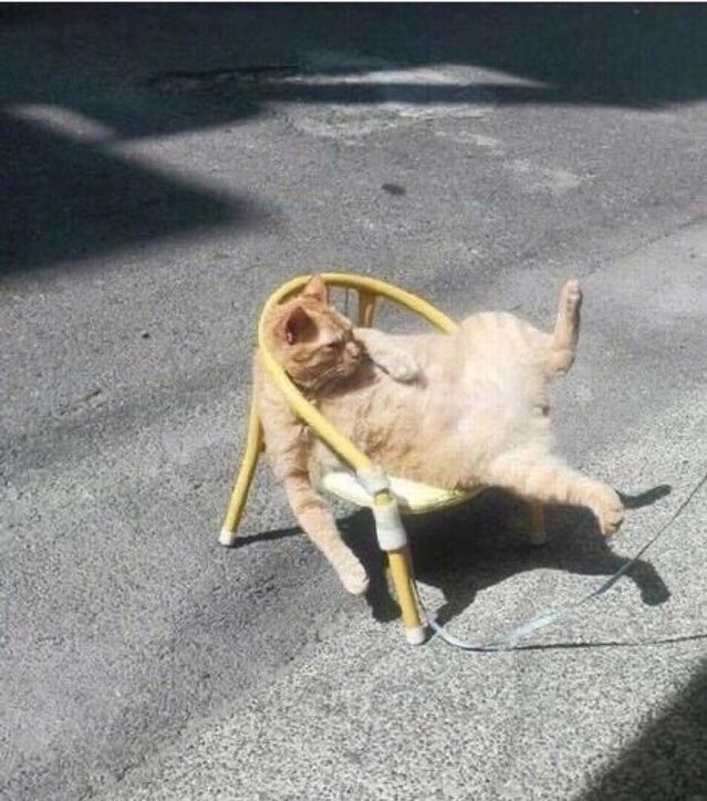 Meşgulüm diyorum kızım anlamıyo musun?