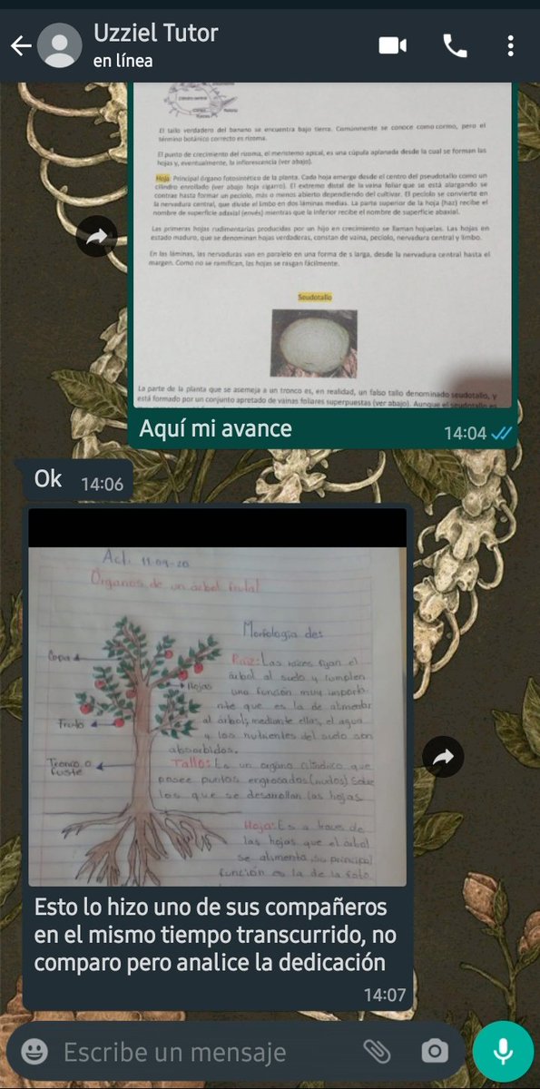 TocheRodriguez's tweet photo. Weeey que pedo?? Pues me hubieran avisado que seguimos en primaria https://t.co/RdQXijHD7w