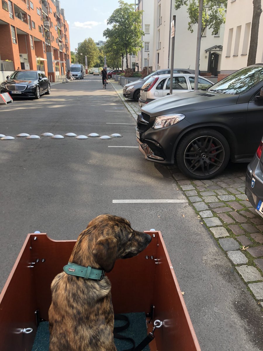 crshrd's tweet photo. Fuck you einfach #Autokorrektur #fucksuv #fahrradstadtberlin https://t.co/3pR2X8TR48