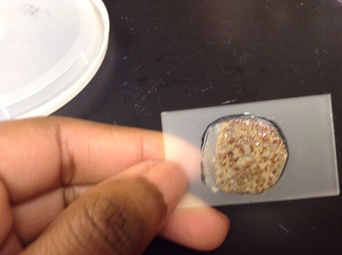 CapricePhillips's tweet photo. Sticking my head in for #BiGRollCall today. I used to study meteorites ☄️using Raman 🍜 spectroscopy. Now I study exoplanets 🪐, specifically looking to see if we can detect bio signatures in super-Earth 💪🏾🌎 atmospheres ☁️ with @NASAWebb. #BlackInExosphere https://t.co/o2jChNDoig