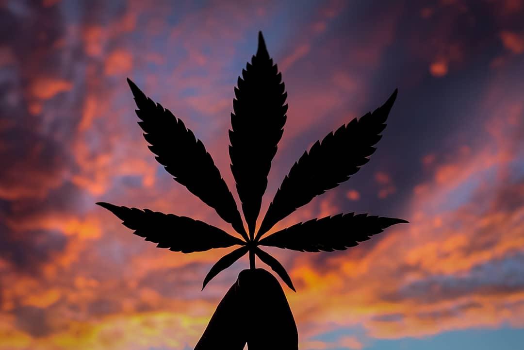 Kym 🌙 tweet media