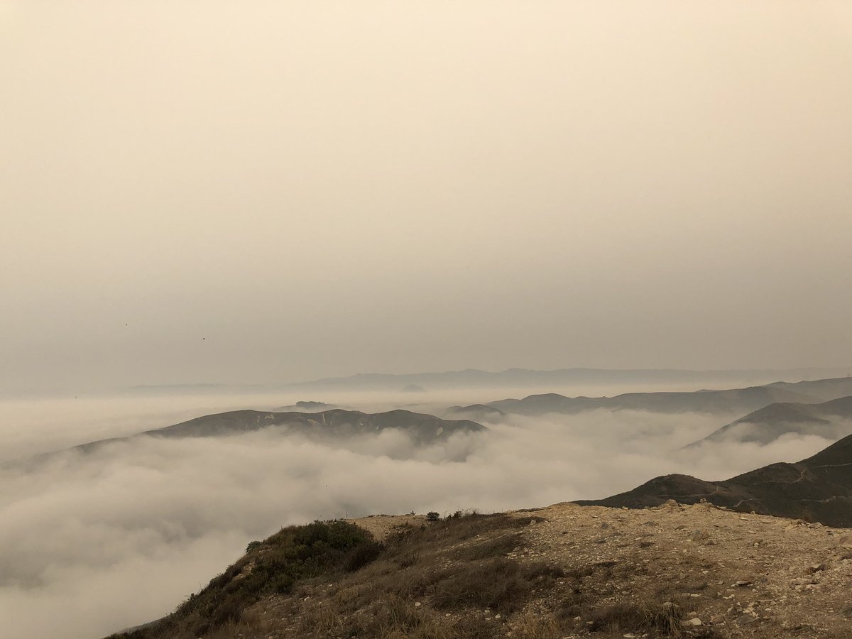 My hike this morning in #MontañadeOro State Park was a weird mix between smokey and foggy