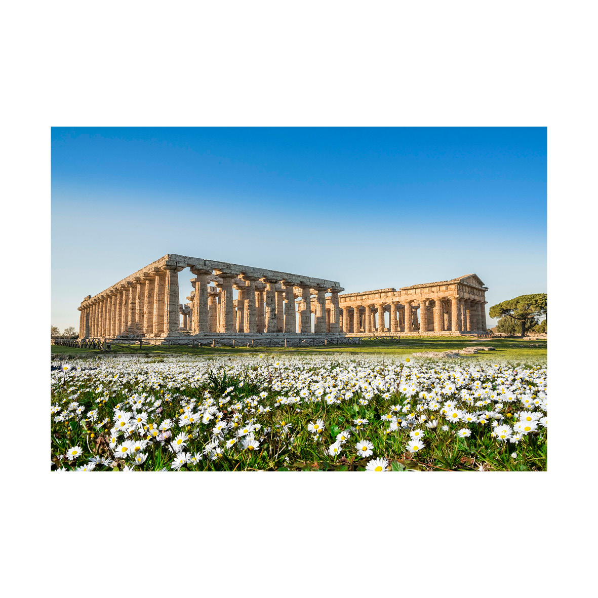What has changed since travelers of the 1700s were amazed by the magnificence of the Temples of Paestum? Everything, yet the amazement remains. For info on stays at Savoy Beach Hotel, near the Archeological Site of #Paestum, visit savoybeachhotel.it