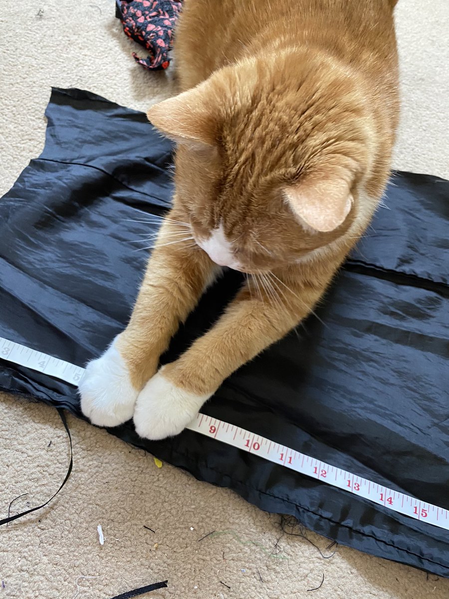 HolmeMadeHulme's tweet photo. #HARRYS 4 times Harry thought my projects were actually his #harrythecat #homemade #handmade #holmemadeinhulme #cfartist #cf #artsandcrafts #2020challenge #supportsmallbusiness #shoplocal #hulme #manchester #perfectchristmasgifts #UniqueGifts #sustainable https://t.co/qLUvNP3hPq