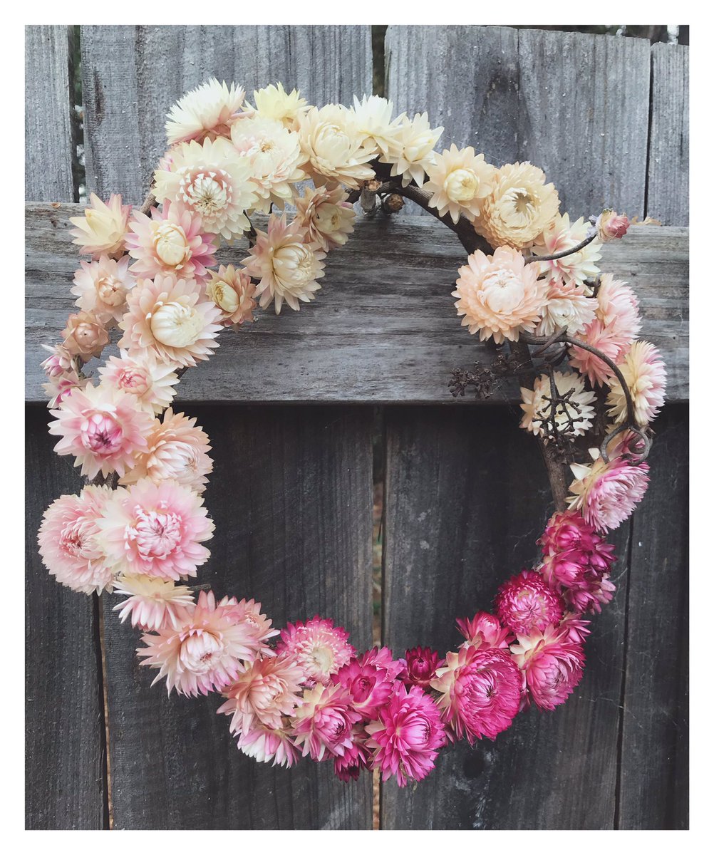 flora_greens's tweet photo. Grown, harvested &amp; crafted with love 💗 strawflowers make me so happy 😁 https://t.co/7GOuSgM431