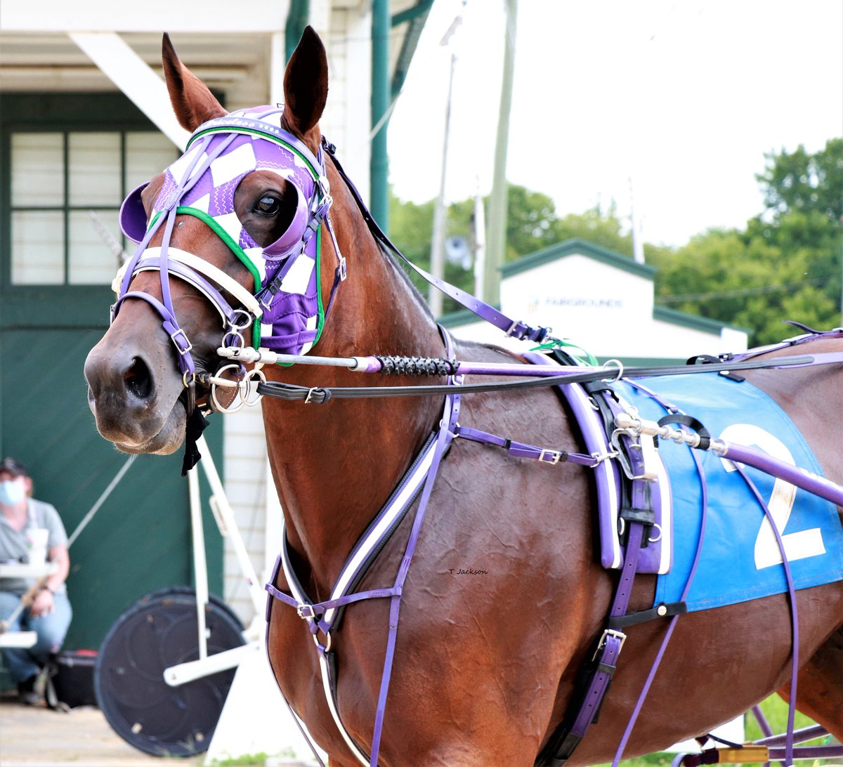 hoosiernations's tweet photo. ISS 3yo Filly pace action tonight at Hoosier
R2
pp1 #Somebodyslilly/Michael Oosting
pp5 #GraceRocks/@joeyputnam13
R8
pp1 #MysticalCarrie/@TraceTetrick
pp4 #Priceless/@bigticketbates
🍀GoodLuck🍀 https://t.co/Ral0IrmskG