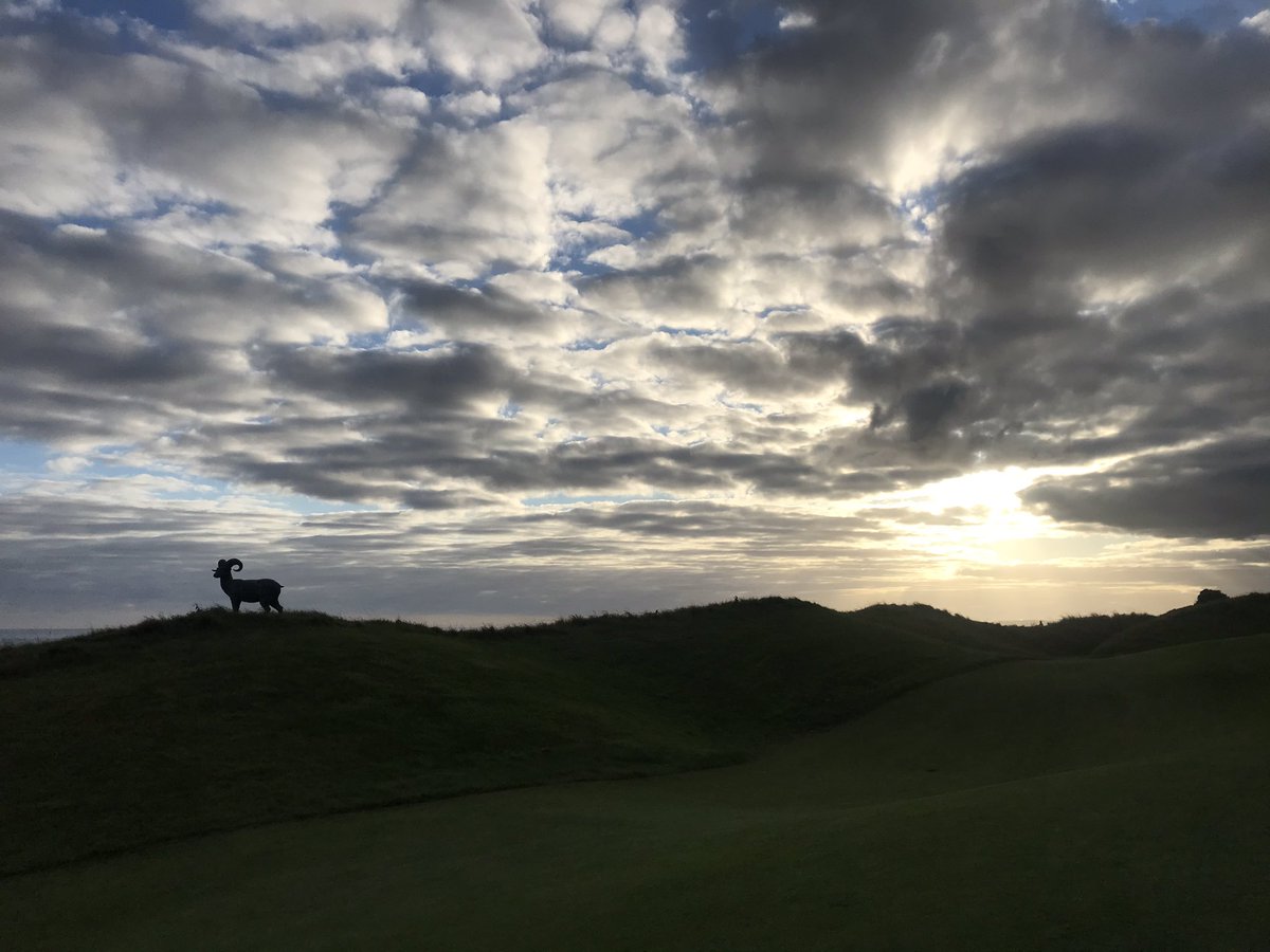 CauveryMadhavan's tweet photo. Whatโs getting your goat? #FridayFeeling #IrishSky https://t.co/HiS32wWsFJ