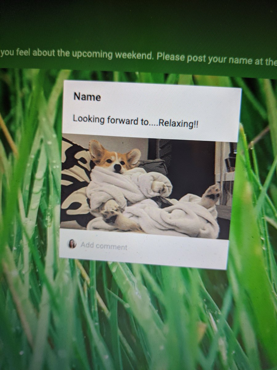 Ms. Burke tweet media