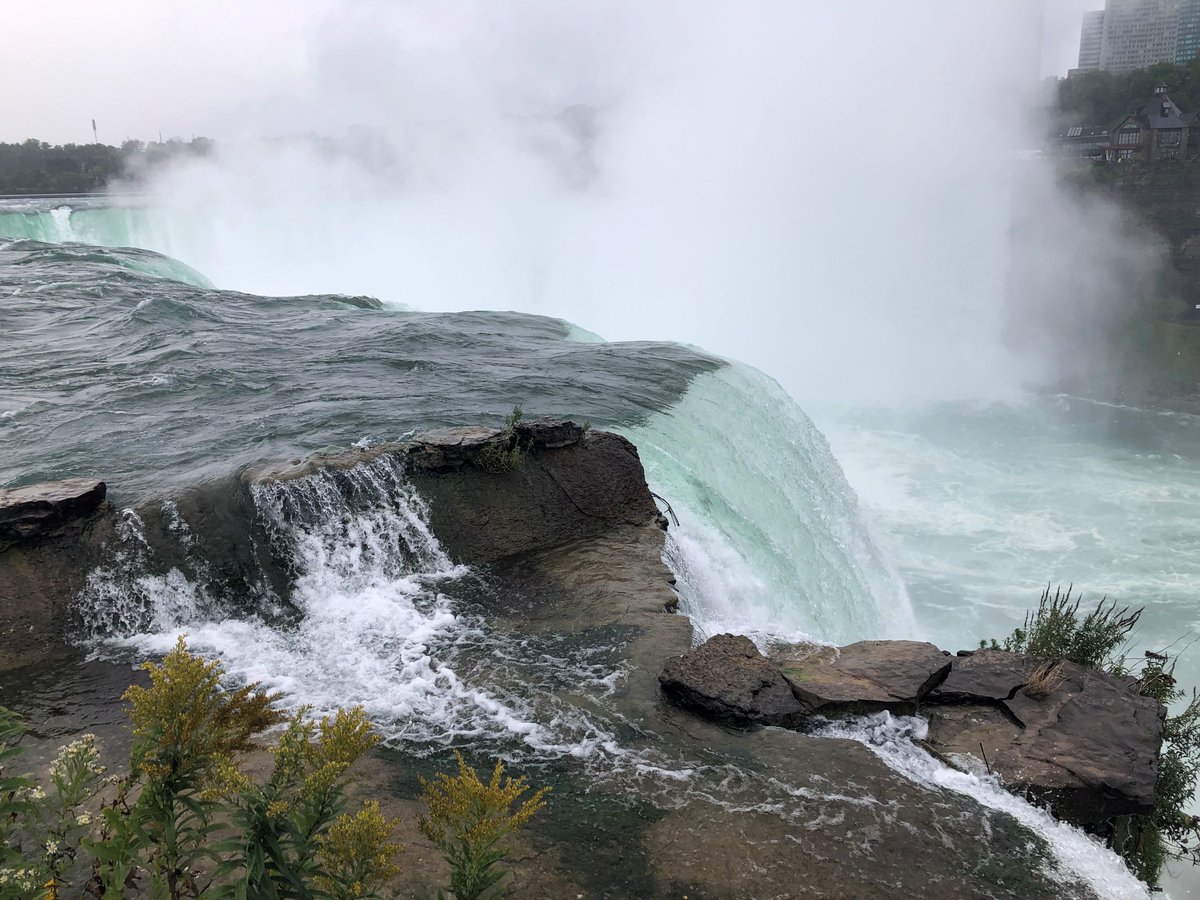 NPCA_Ontario's tweet photo. Tune in Sunday 2-3pm for #CelebrationofNations Environment &amp; Cultural Stewardship Panel. Experts in environment, culture &amp; heritage incl. @NiagaraRiverRAP's Natalie Green, will share knowledge &amp; experiences &amp; review projects in the Niagara River corridor. https://t.co/FiNrzGfYUb https://t.co/gGGBuL9Auz