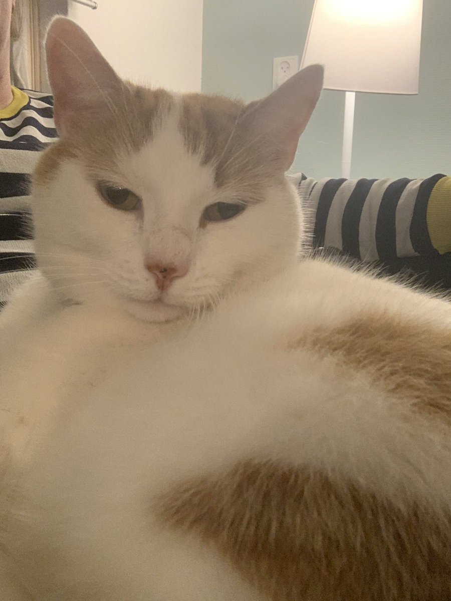 pissedmom5's tweet photo. Ik lig er weer... #opschoot https://t.co/1EVJlkX0mY