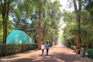 axis_ingenieria's tweet photo. 26 de septiembre pero de  (1938).  Se declara del Parque Nacional El Histórico coyoacán, en la Ciudad de México. Alberga eucaliptos, cedros, abeto, oyamel, arce, uña de gato, etc. El vivero tiene una superficie de 39 hectáreas 
#CDMX #coyoacan #vivemexico #AXIS #AxisIMA https://t.co/b4ExZNBW7T