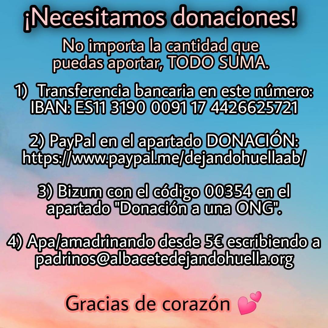 DejandoHuellaAB's tweet photo. #Albacete Son muchísimos los gastos que estamos teniendo últimamente: la operación de Valkyria (2.600€) y la de Gus (3.000€), y otras como la de Jano, y nuevas incorporaciones. Dejando Huella está viviendo una situación crítica, por lo que cualquier aportación es bienvenida. https://t.co/fAfiIWGIJI
