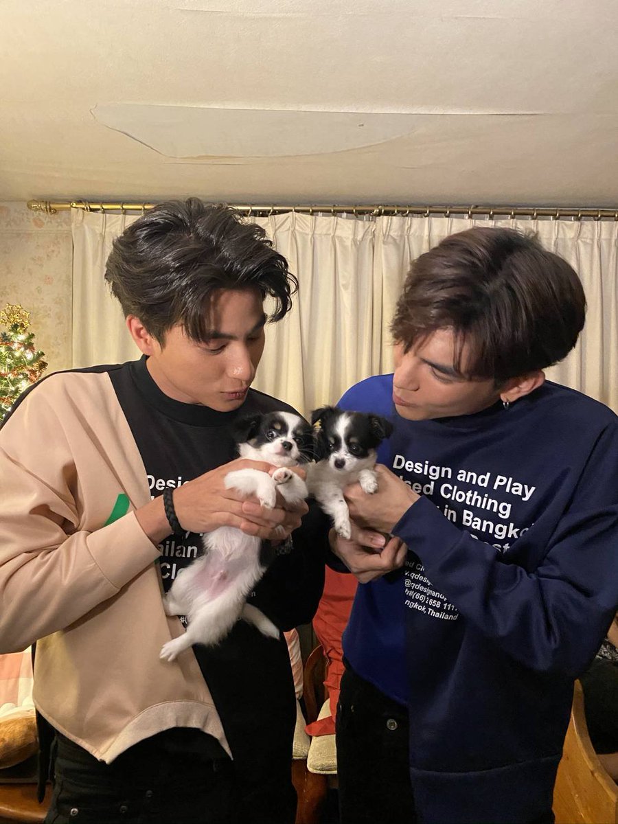 ◑ just boyfriends playing with puppies