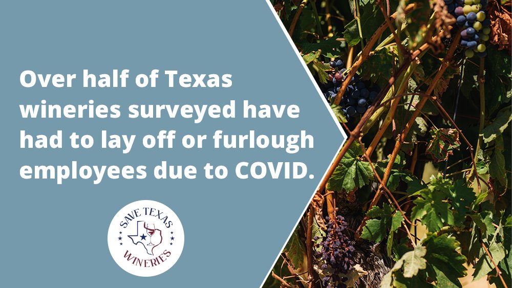 savetxwineries's tweet image. There are over 100k jobs created by the Texas wine industry. Tasting room closures are impacting the lives of employees, farmers, &amp;amp; other businesses dependent on the Texas wine industry. Send a prewritten letter to your legislators now: savetexaswineries.org/advocate/

#SaveTexasWineries